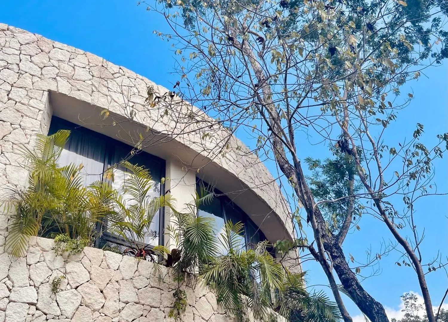 Round Luxury Villa Private Pool & Jungle Rooftop 2B Tulum